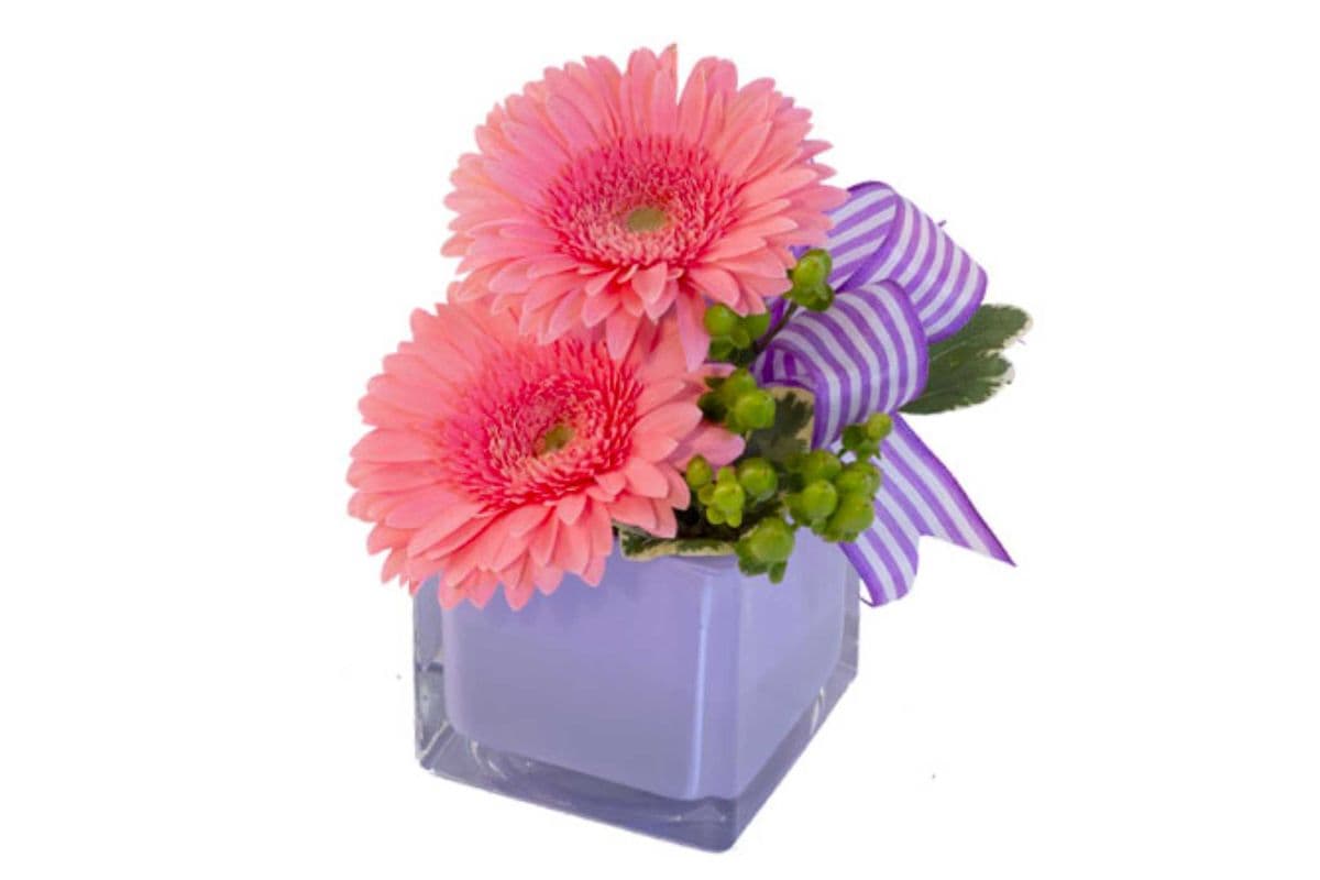 Petite Gerberas Floral Design