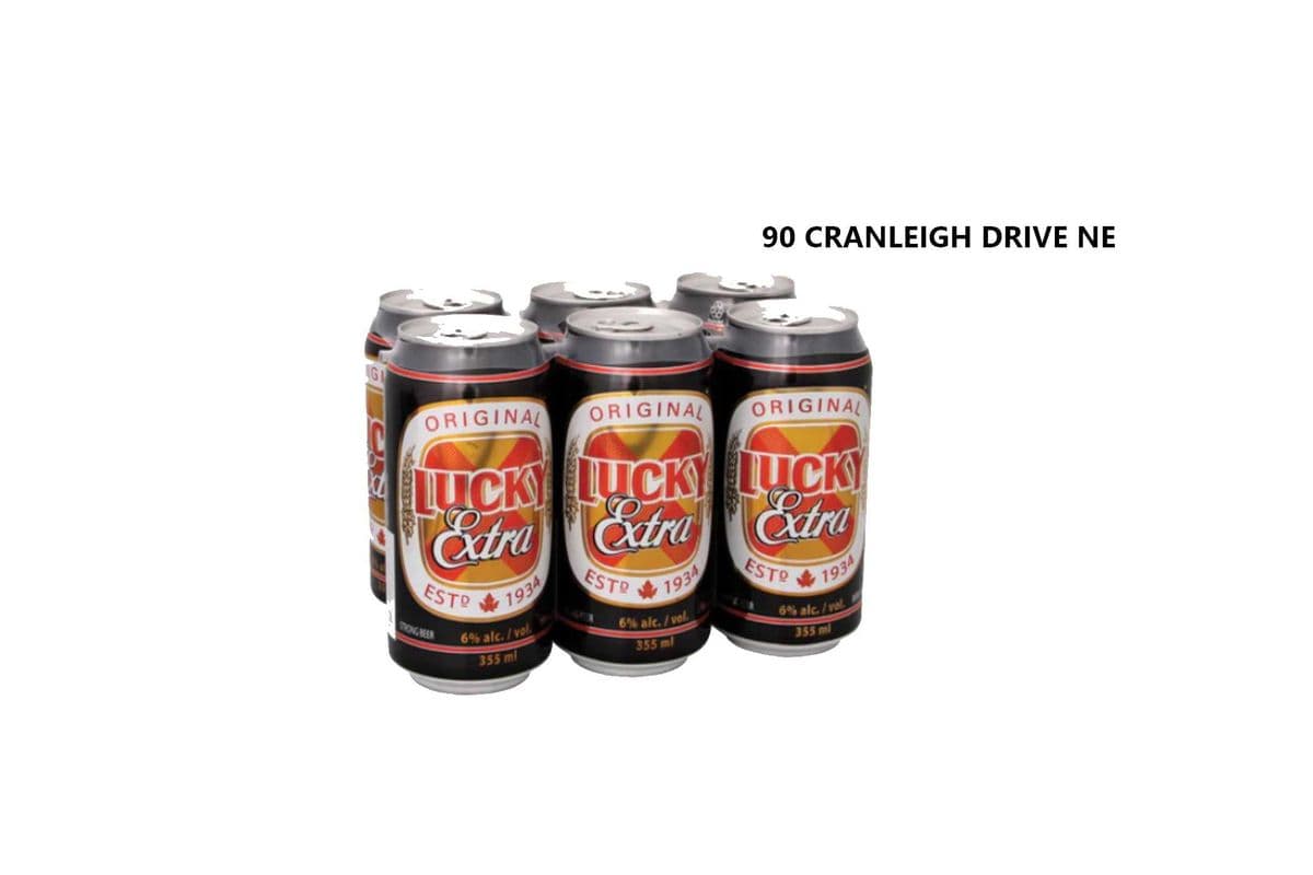 LUCKY EXTRA CANS (1 x 6X355ML)