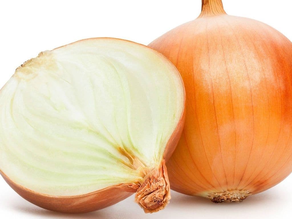 Onion Yellow (3 pcs)