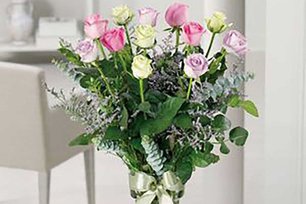 Mixed Dozen