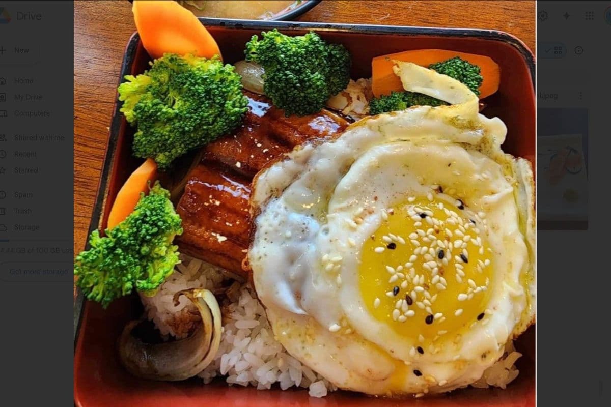 Eel Donburi (Unagi Don)