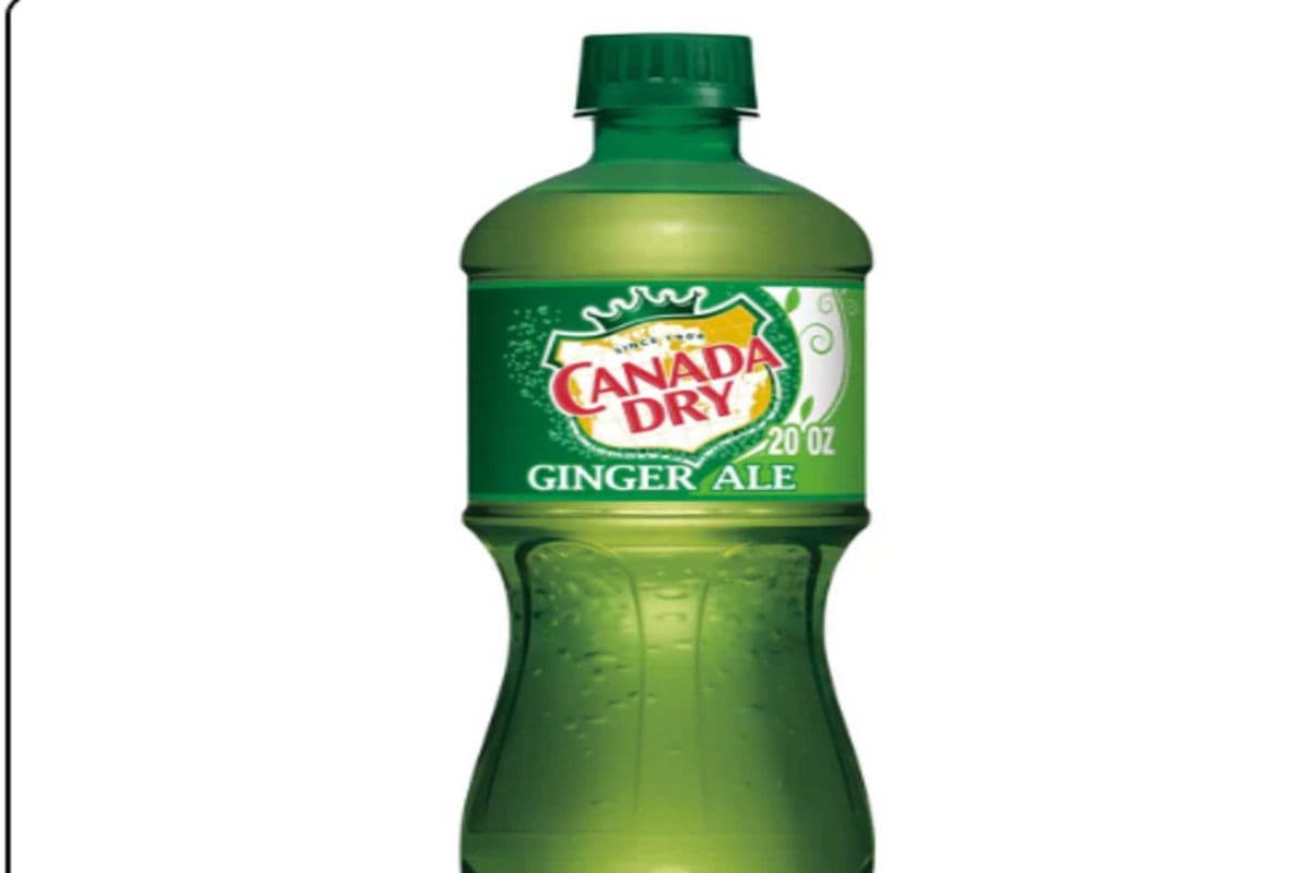 Canada Dry Soda Ginger (591 ml)
