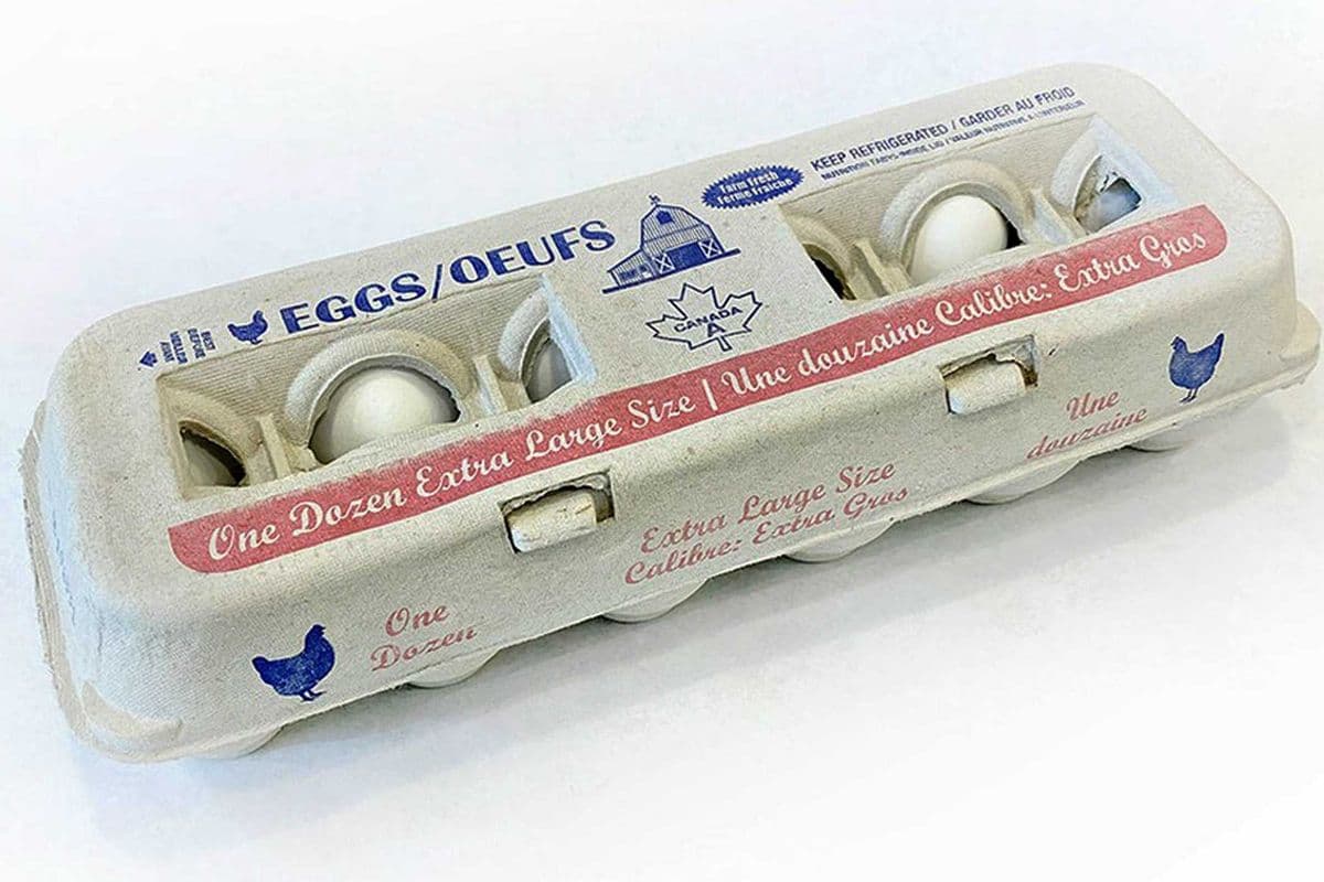 Dozen Eggs (1 dozen)