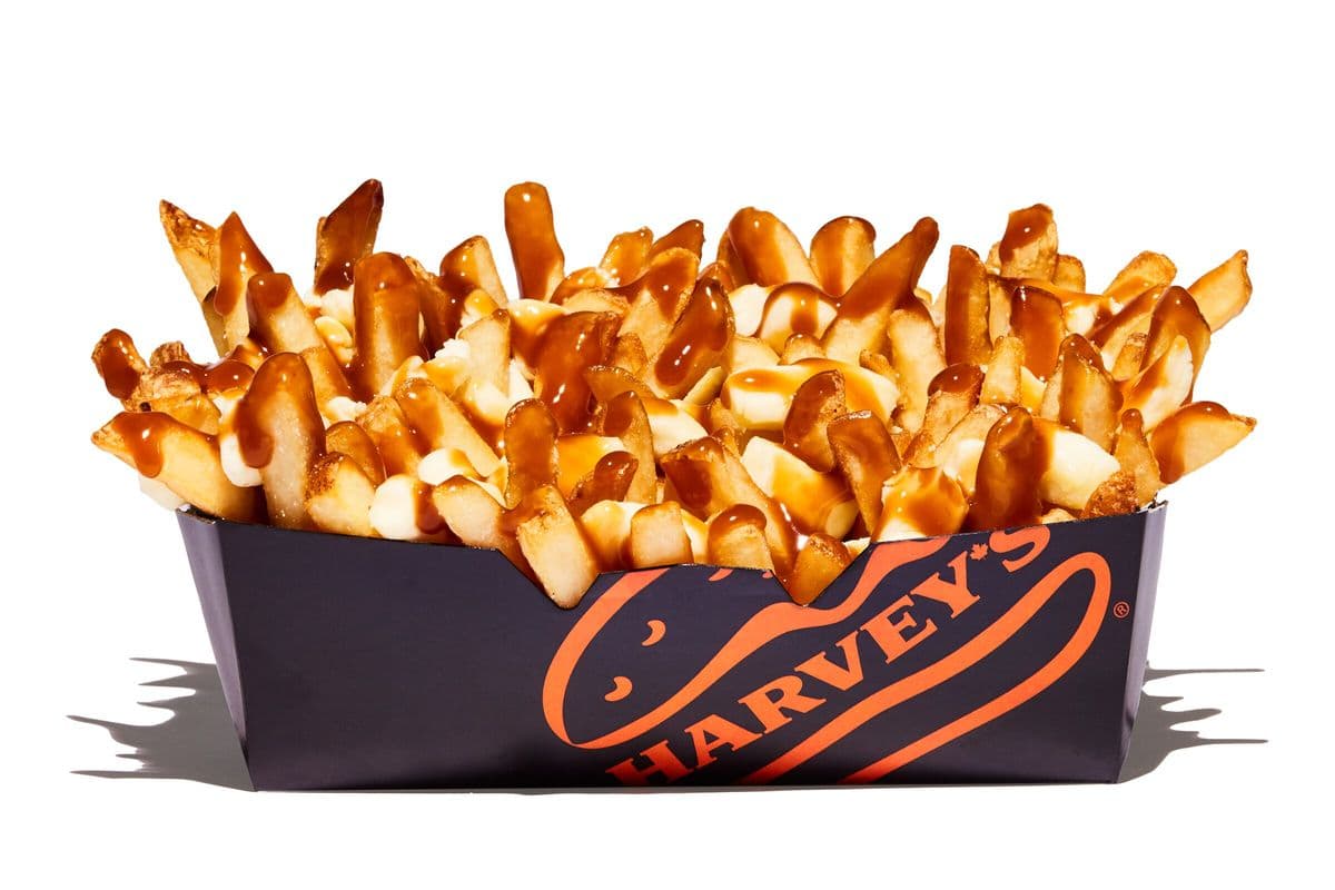 Large Classic Poutine