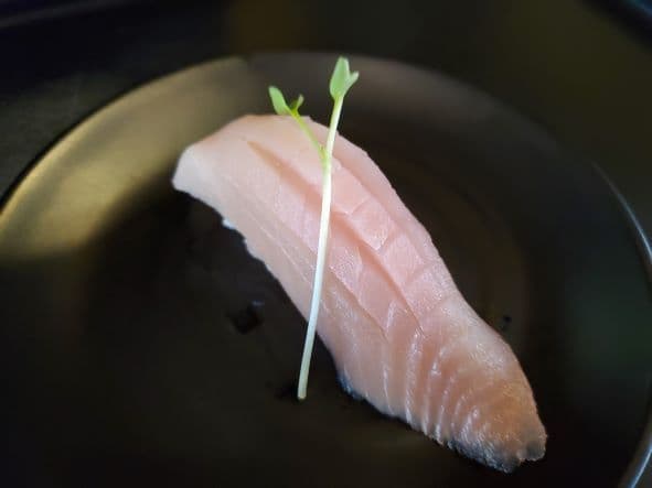 Tuna