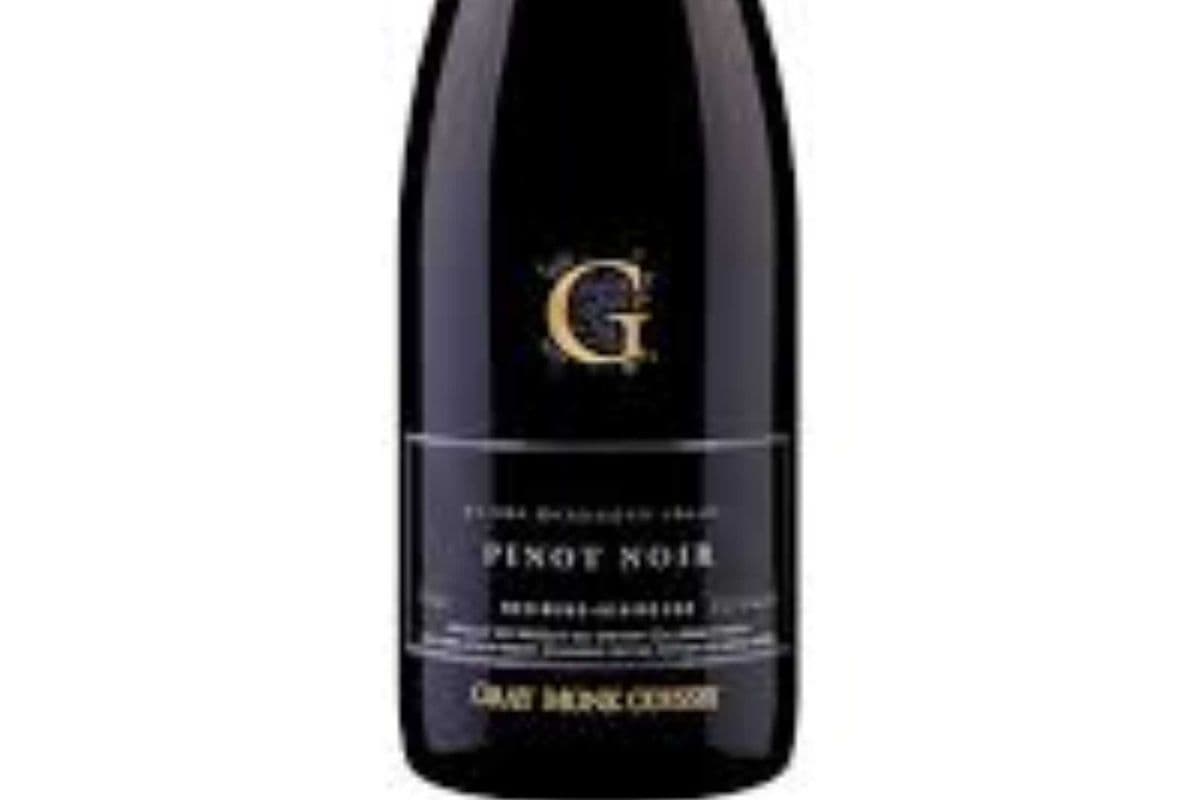 Gray Monk Odyssey Pinot Noir (1 x 750ml)
