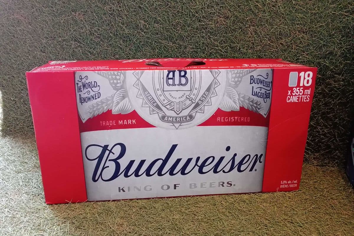 Budweiser (18 x 355 ml)