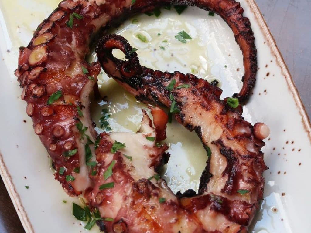 Octopus Skaras