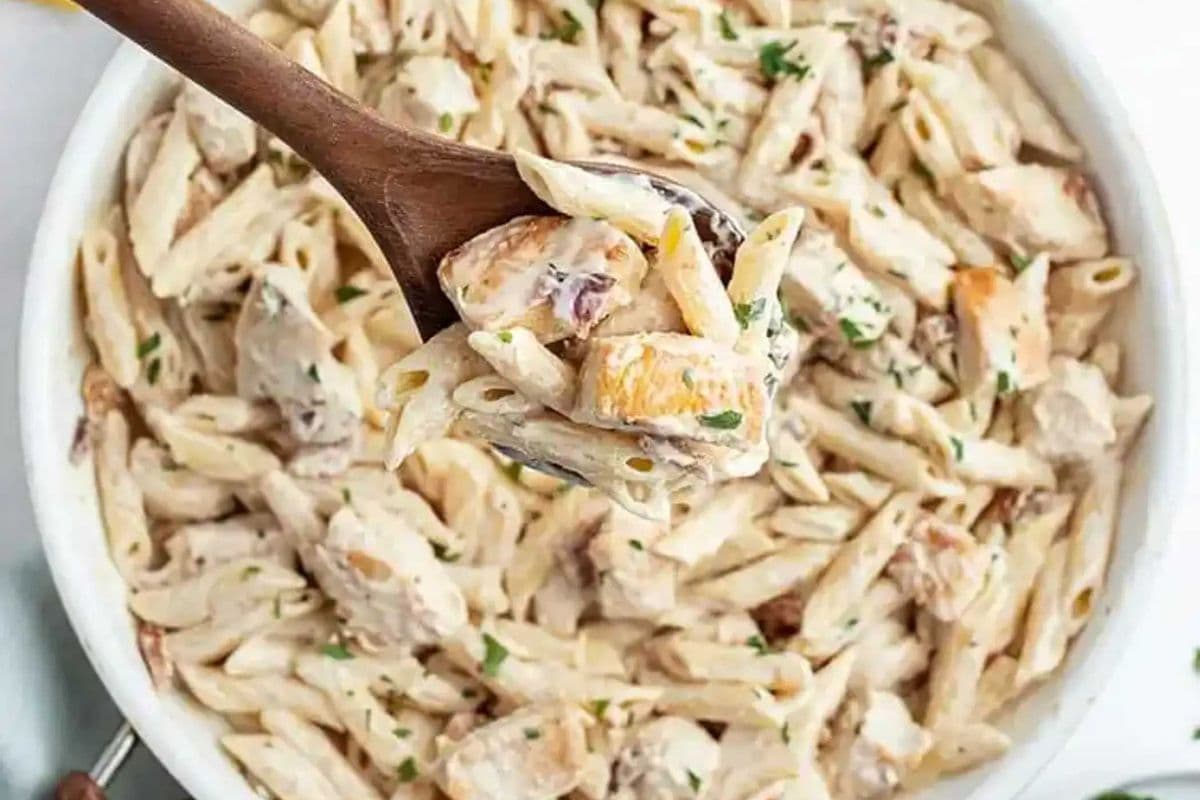 Pasta Chicken White Sauce