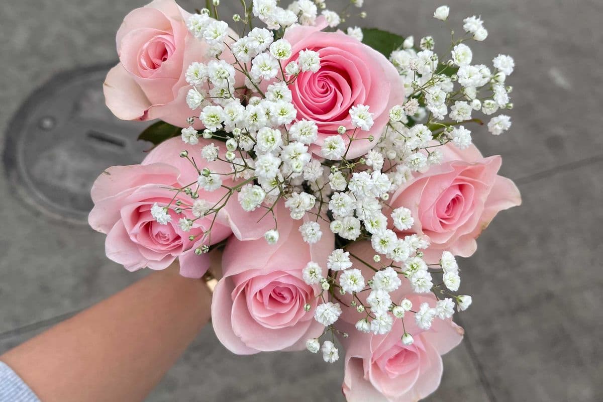 Light Pink Roses - 6 Stems