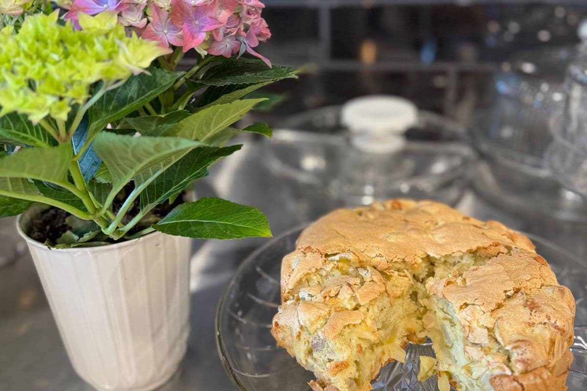 Apple Cake