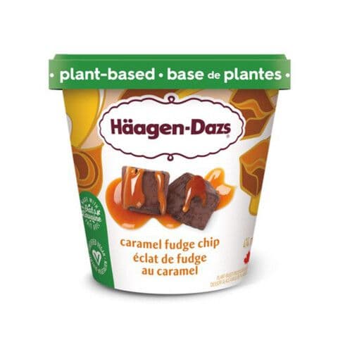 Haagen Dazs Caramel Fudge Chip (V)