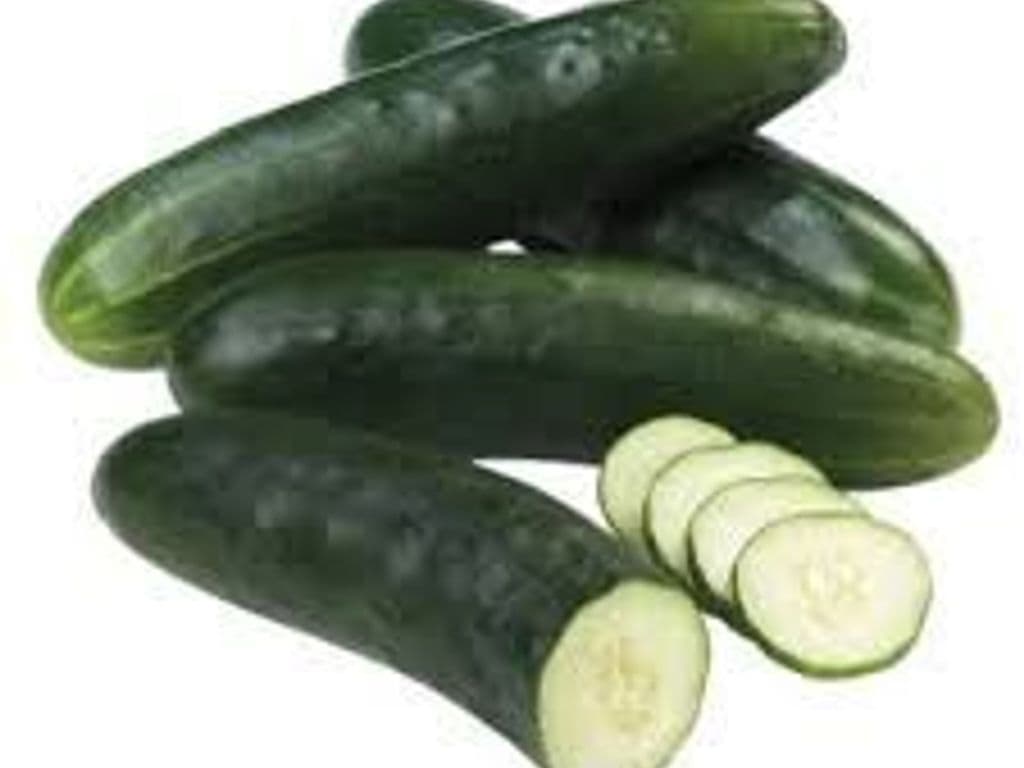 Straight Cucumber