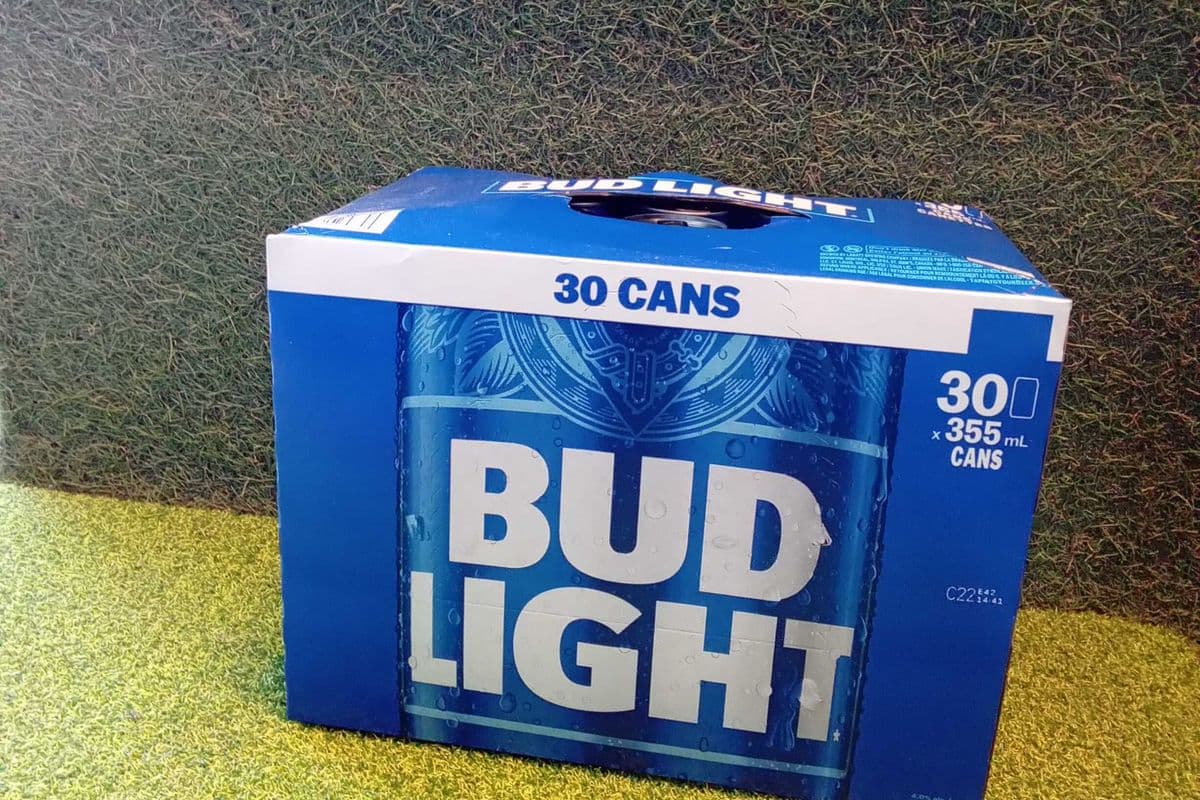 Bud Light (30 x 355 ml)