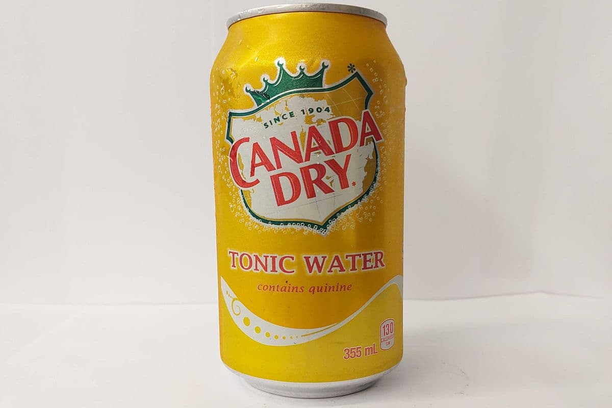 Canada dry tonic water (355ml)
