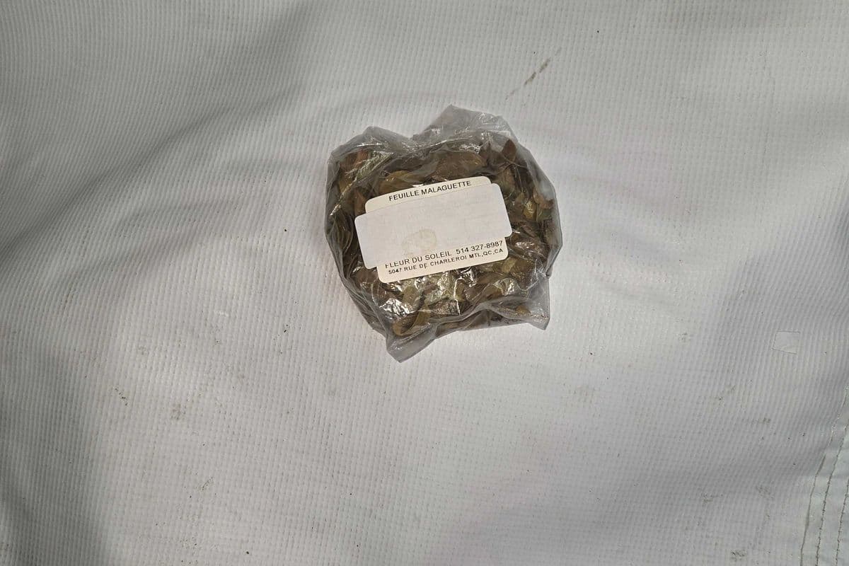 FEUILLE MALAGUETTE