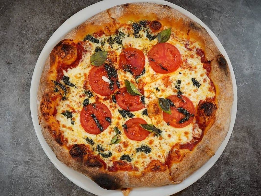 (L) 14" MARGARITA