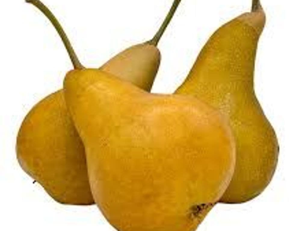 Pear Bosc BC (3pc)