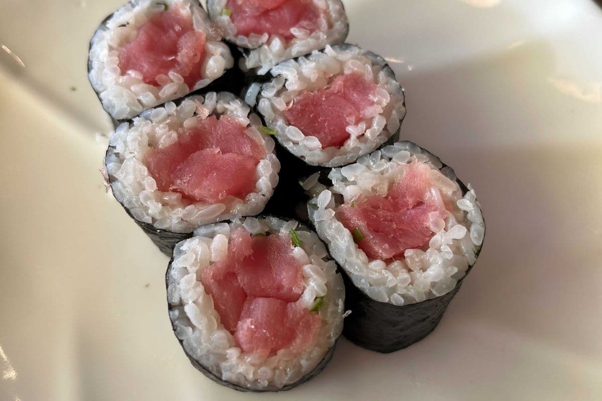 H06. Thon rouge / H06. Red Tuna