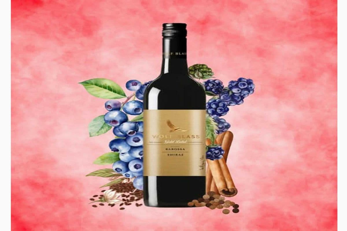 WB GOLD LABEL SHIRAZ (1 x 750 ML)