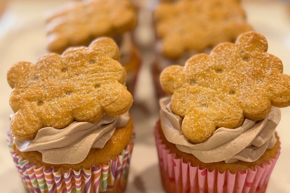 S'mores Cupcake