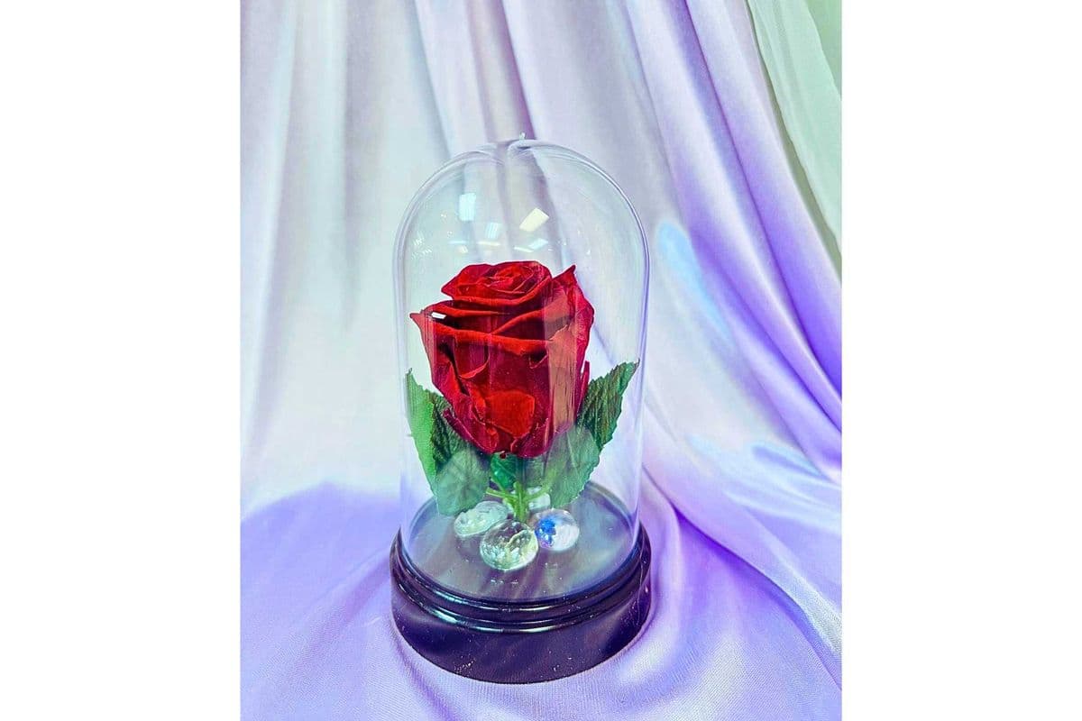 Forever Rose in Dome (Red, Pink or Blue)
