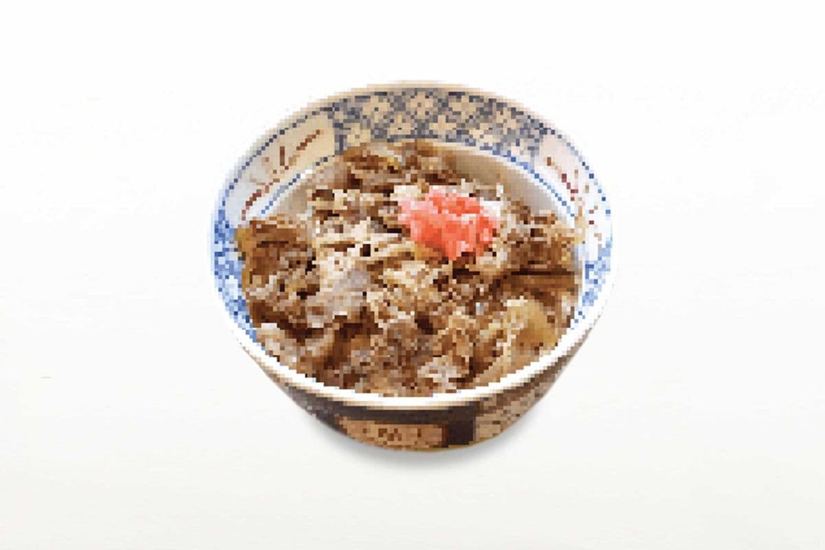 Japanese Beef Rice Bowl (Small)