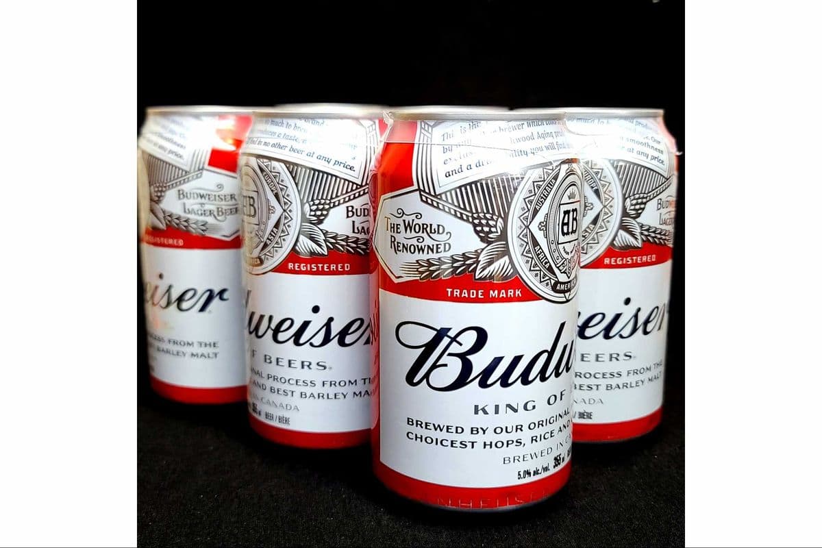 Budweiser (6-pack) (6 x 355ML CANS)