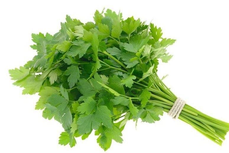 Parsley Italian (Bunch)