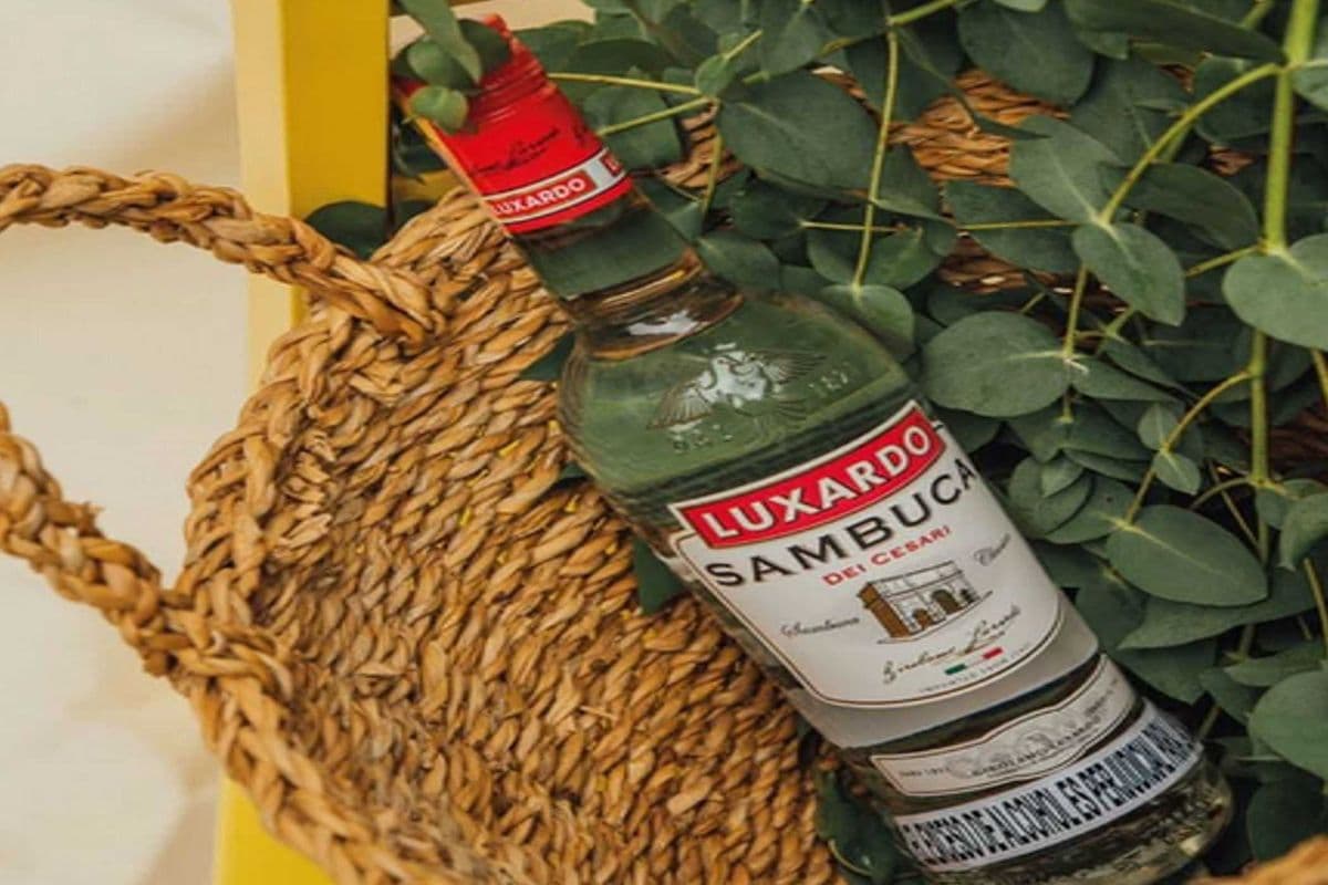 SAMBUCA LIQUOR (1 x 750ML)