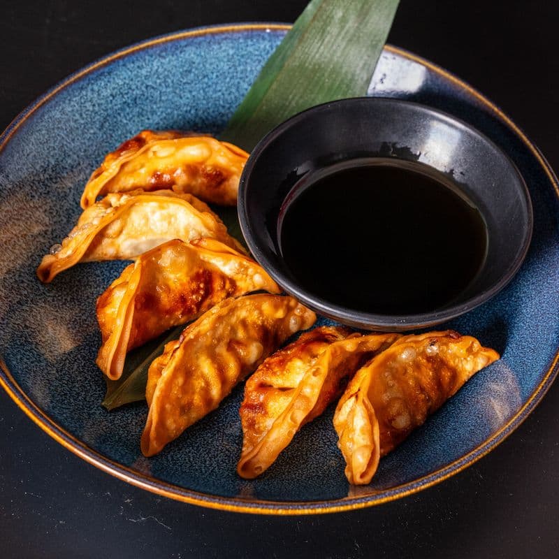 Gyoza frits au porc