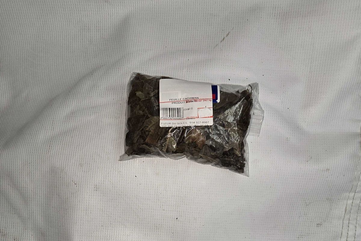FEUILLE CACHIMAN