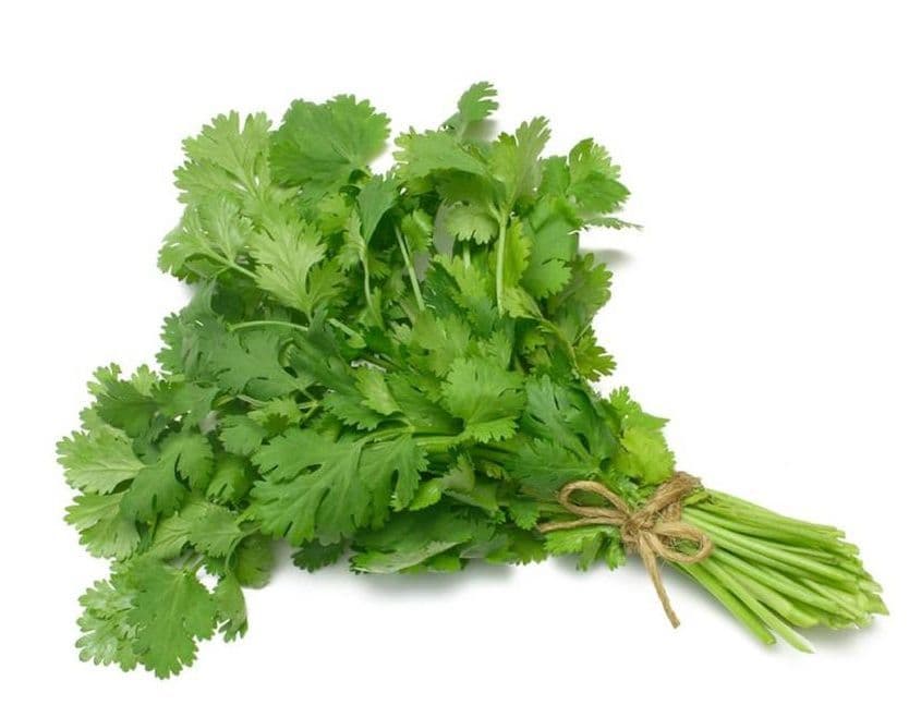 Organic Cilantro (Each)