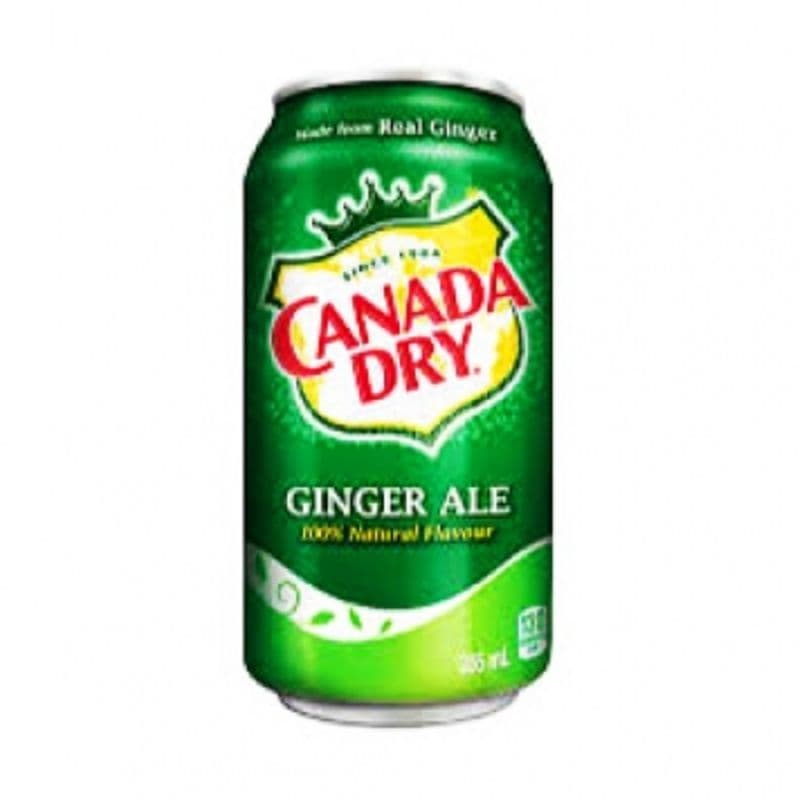 Soda au gingembre / Ginger Ale (355 ml)