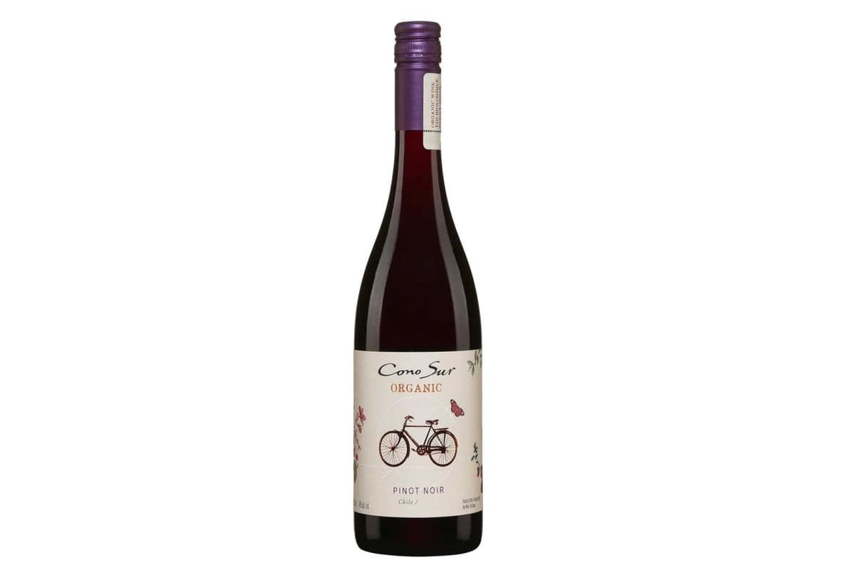 Cono Sur Organic Pinot Noir 750 ML (1 x 750 ML)