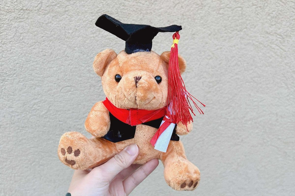 Graduation Bear Small - Brown