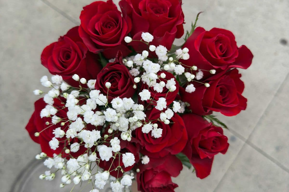Red Roses - 1 Dozen (12 Stems)