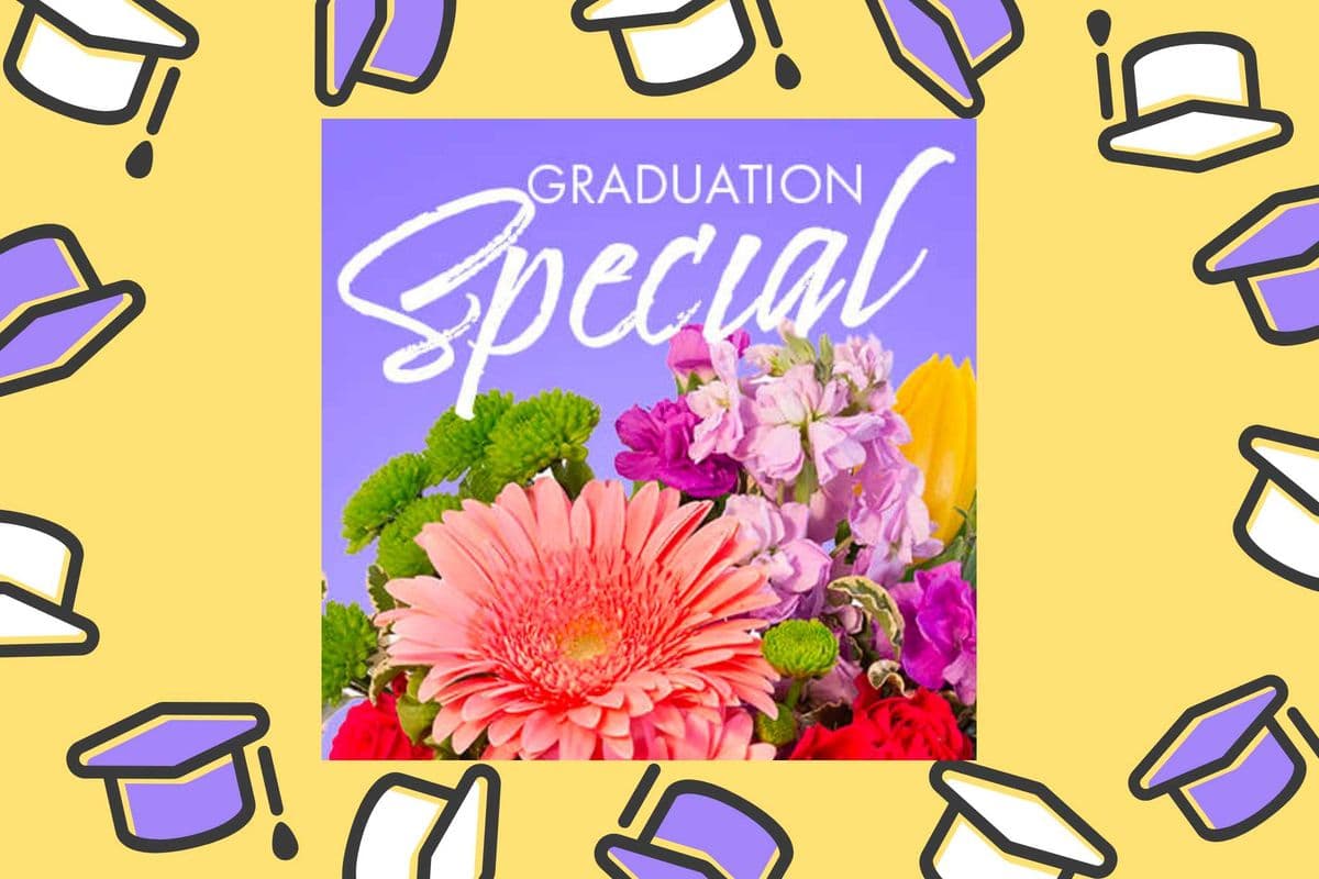 Graduation Special Designer's Choice