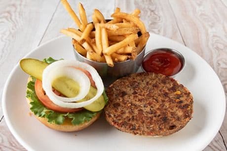 Vegetarian Burger