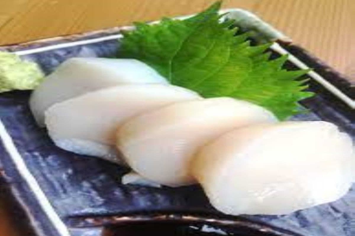 513. Scallop