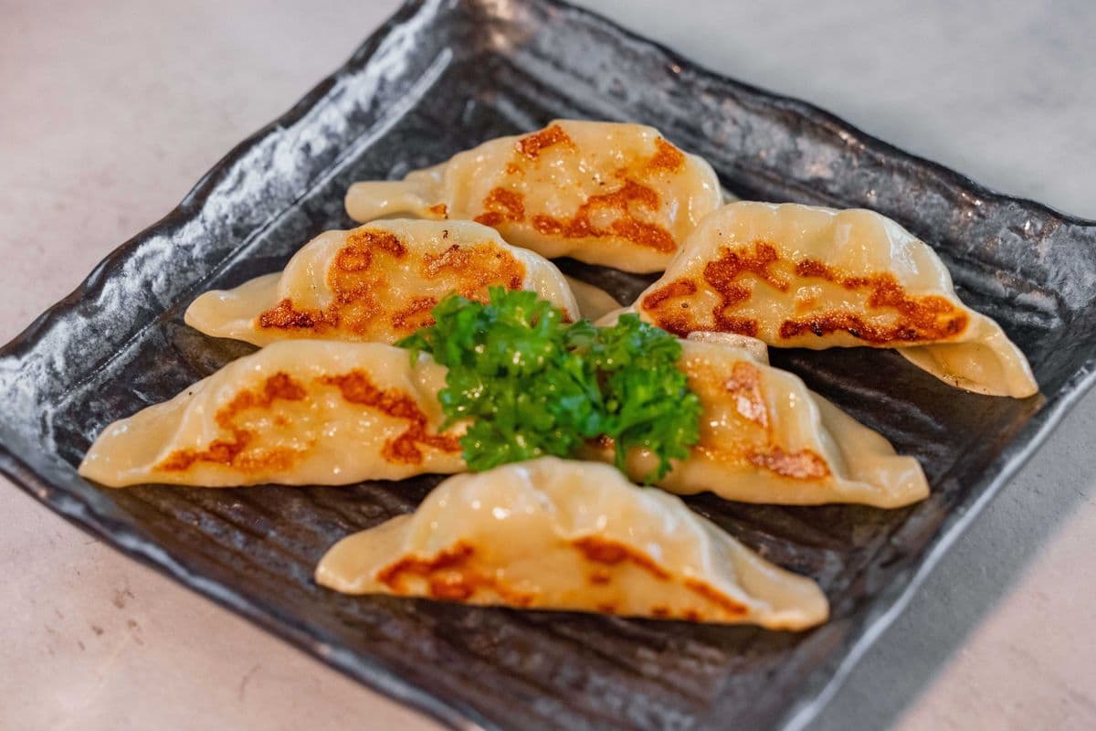 Gyoza