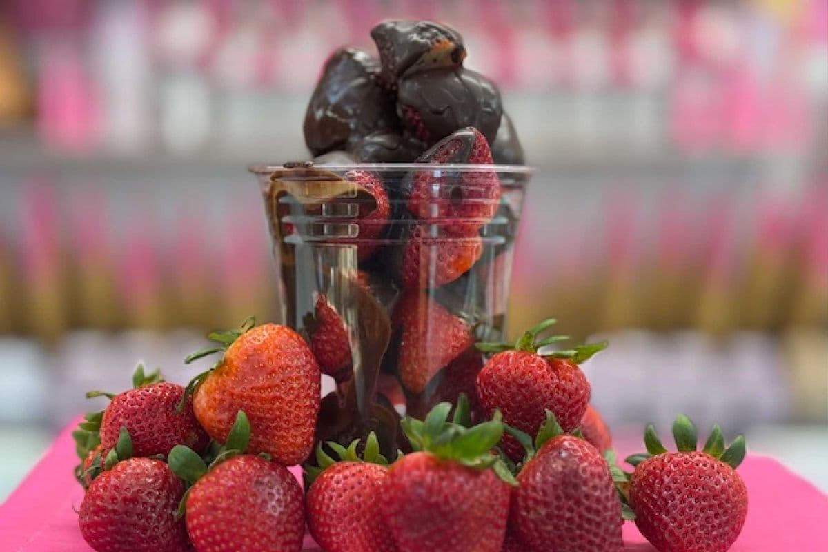 Fresh Chocolate Strawberry Cup