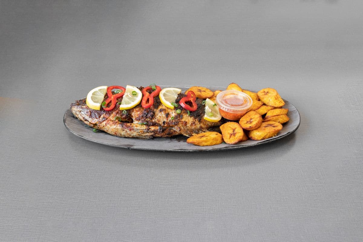 Medium Talapia