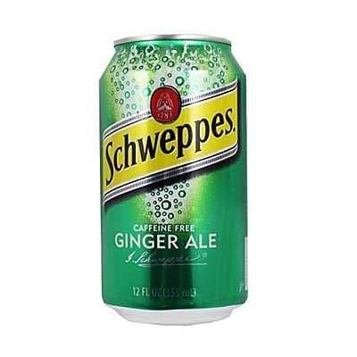 Ginger Ale 355ml