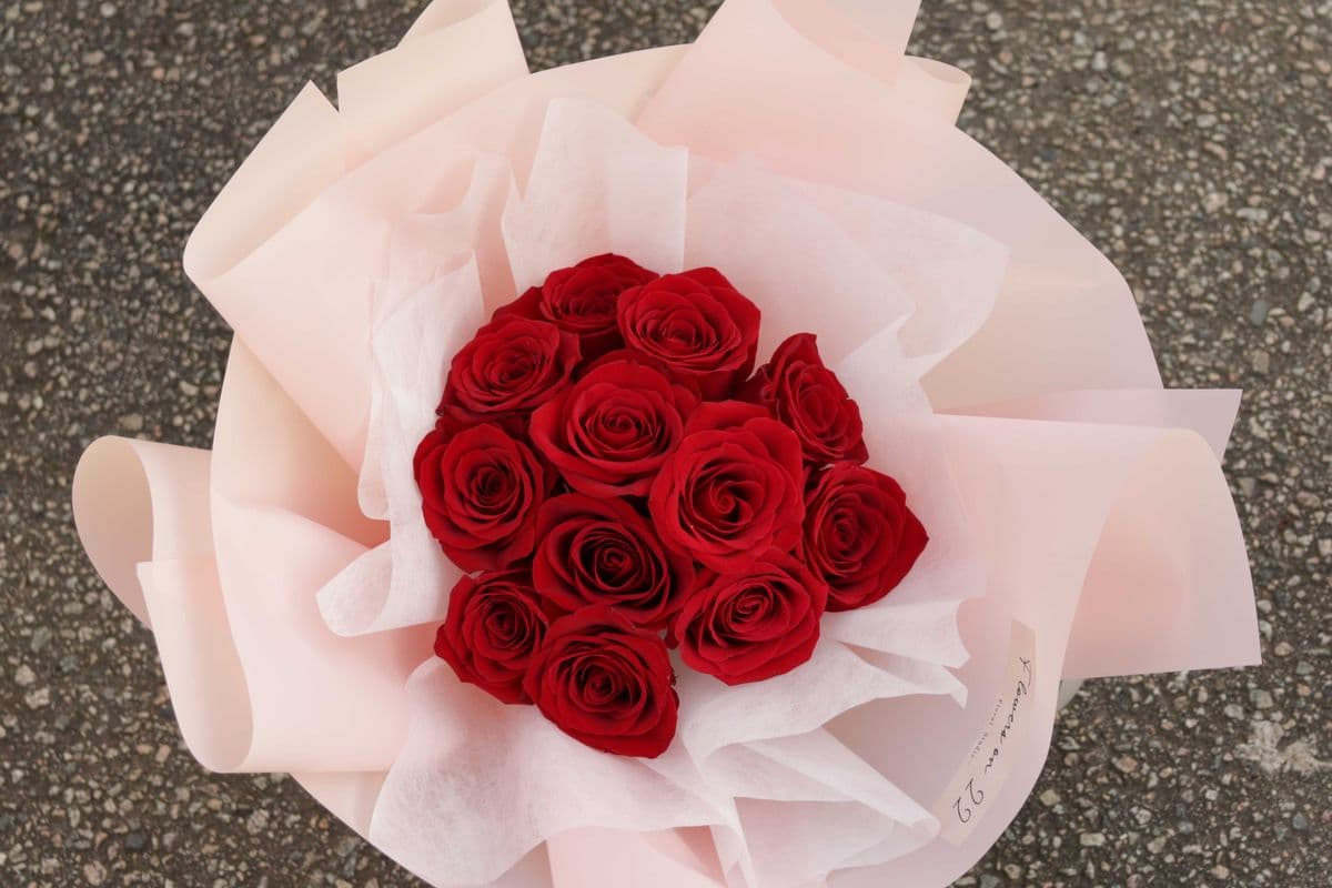 R23. Love is Red - Pink Packing (12 Red Roses)