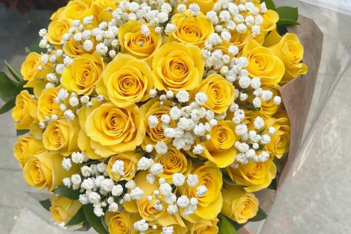 Yellow Roses - 2 Dozen (24 Stems)