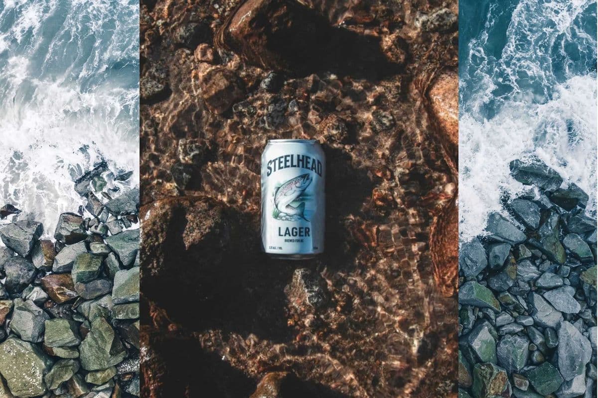 Steelhead Lager (8 Cans) (8 x 355ML)