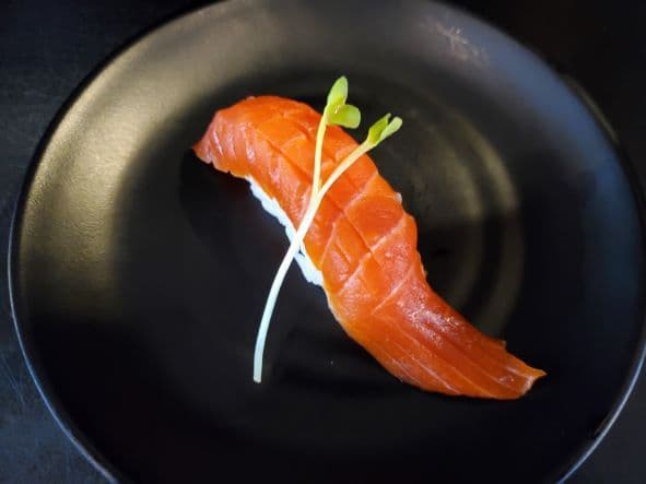 Wild Salmon