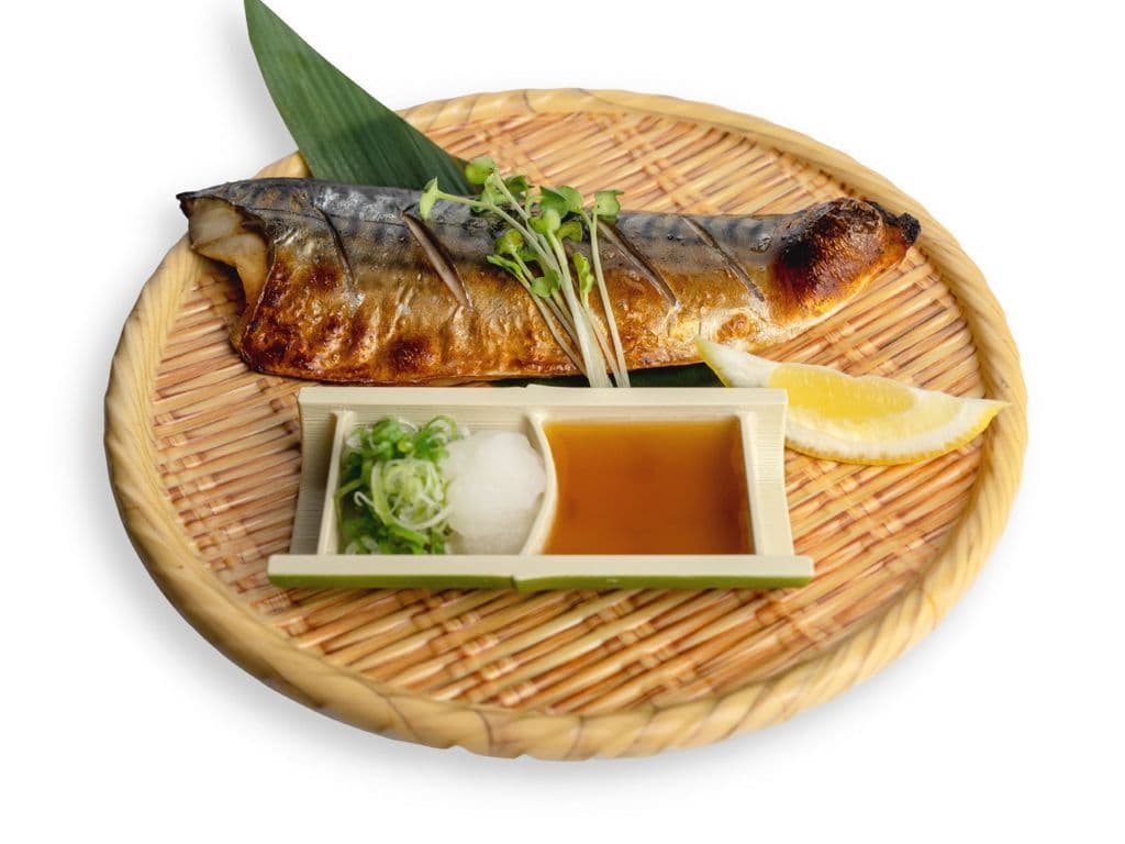 Saba Mackerel 