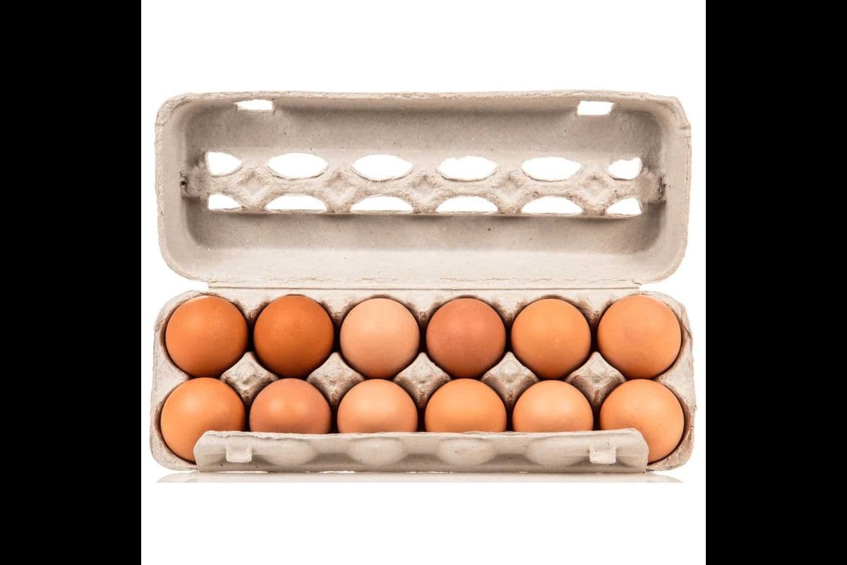 Brown Egg 12 Counts (Large)